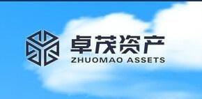 重庆卓茂投资管理 稳健布局与创新发展的投资之道