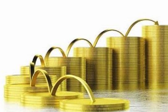 飞不起来的猪 稳健与理性的投资管理之道